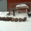 isokyr 14.3.09 014